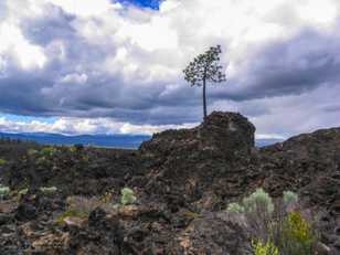 Lave Butte-0751.jpg